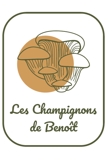 Les Champignons de Kerean